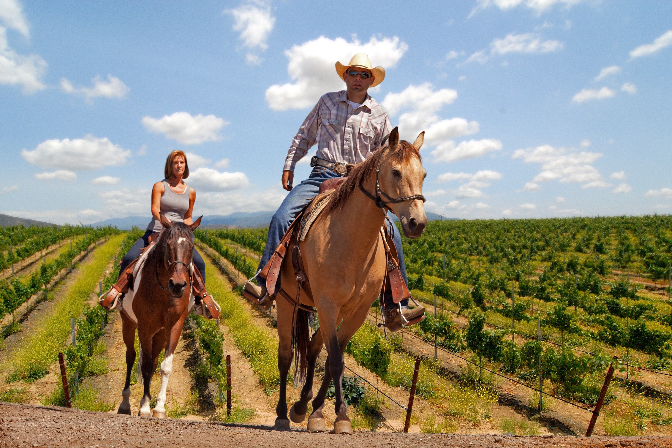 Shares 10 Insights to Horse Friendly Temecula Valley